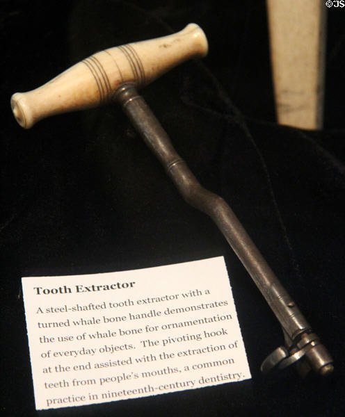 Tooth extractor with whale bone handle at Whaling Museum. Cold Spring Harbor, NY.