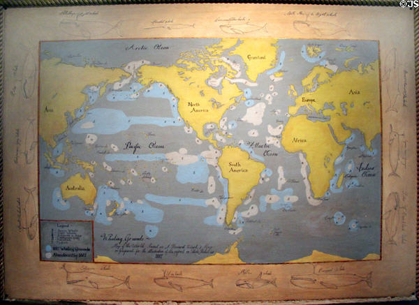Map of whaling grounds in 1887, based on illustration by A. Howard Clark, for the American Whale-Fishery 1886-1887 surrounded by whale drawings copied from Capt. Roys' journals at Sag Harbor Whaling Museum. Sag Harbor, NY.