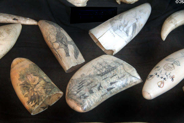 Scrimshaw artwork on whales' teeth at Sag Harbor Whaling Museum. Sag Harbor, NY.