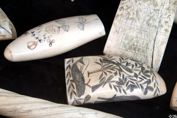 Scrimshaw artwork on whales' teeth at Sag Harbor Whaling Museum. Sag Harbor, NY.