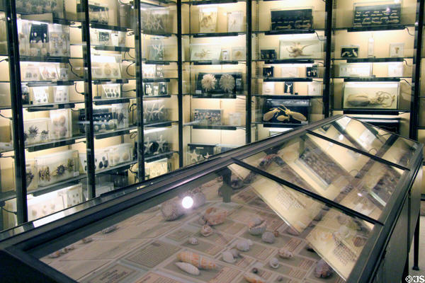 Room of marine biological specimens at Vanderbilt Mansion. Centerport, NY.