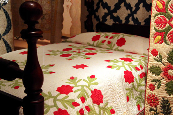 Applique quilt (c1860) by Baldwin sisters of Salem, Ohio at Cleveland History Center. Cleveland, OH.