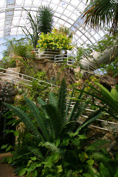 Myriad Botanical Gardens & Conservatory. Oklahoma City, OK.
