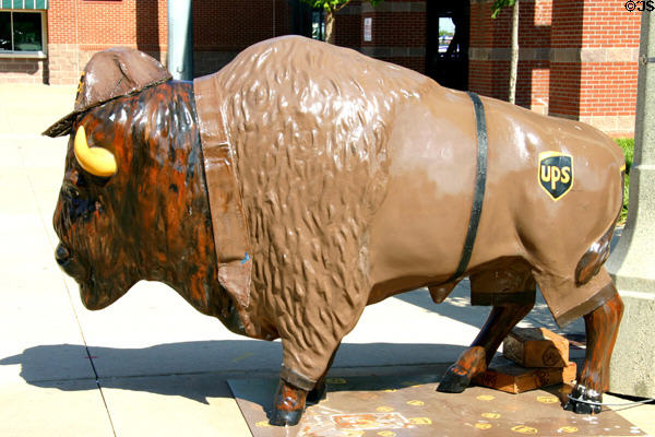 Casey by Julia D. Wells at Spirit of the Buffalo OK Centennial street art project. Oklahoma City, OK.