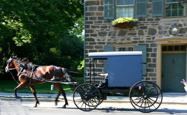 Pennsylvania Dutch horse & wagon in Strasburg. Strasburg, PA.