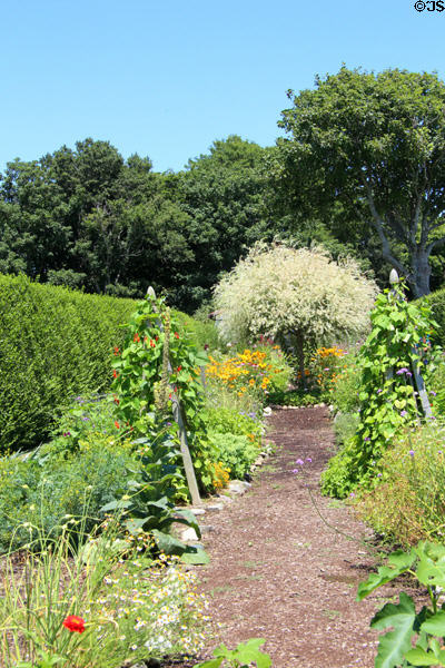 Kitchen garden beside Rough Point. Newport, RI.