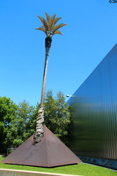Palm tree emerging from pyramid at Contemporary Arts Museum. Houston, TX.
