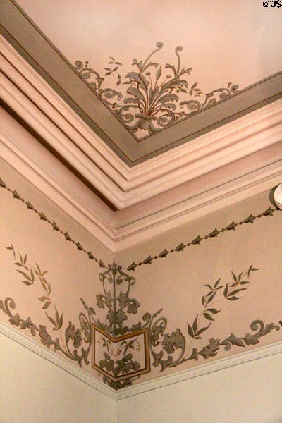 Painted ceiling at Edward Steves Homestead Museum. San Antonio, TX.