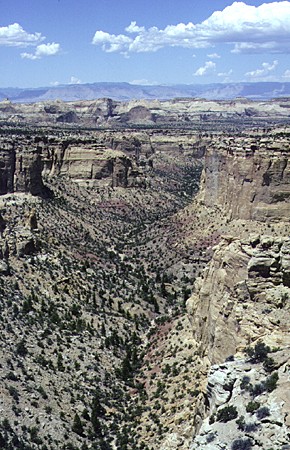 Landscape along Interstate 70. UT.