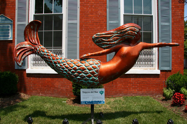 Mujeres del Mar street art mermaid by Paul S. Baker. Norfolk, VA.