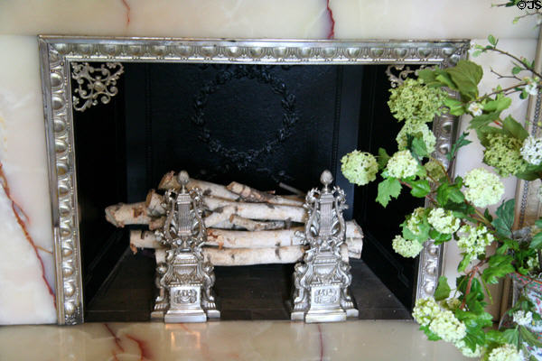 Fireplace with aluminum trim at Maymont Mansion. Richmond, VA.