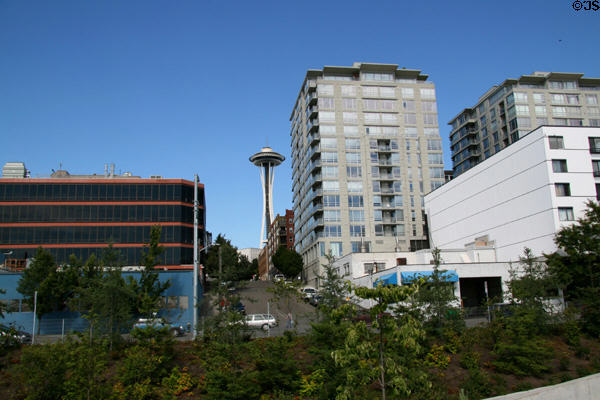 Looking up Eagle St. from Olympic Sculpture Park to Space Needle. Seattle, WA.