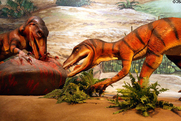 Robotic dinosaurs displayed at Pacific Science Center. Seattle, WA.