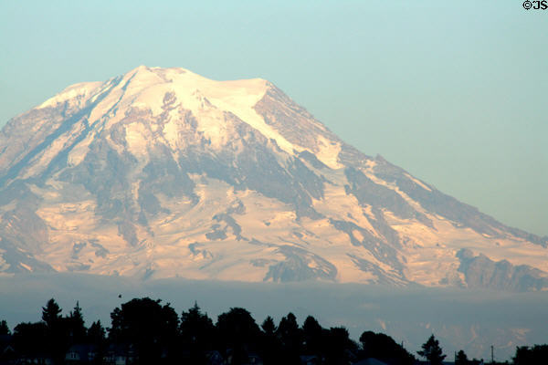 Snow covered slopes of Mt Rainier in evening sunlight. Seattle, WA.