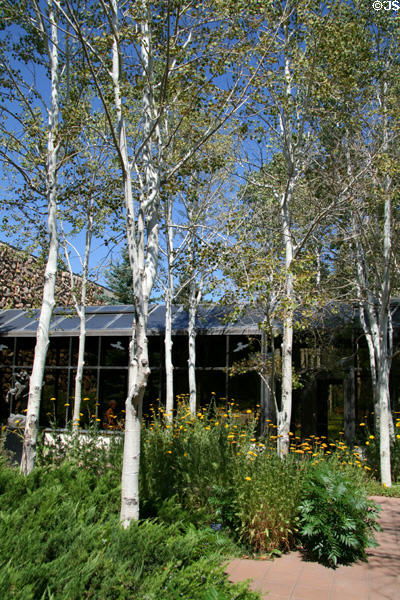 Garden courtyard of Buffalo Bill Center of the West. Cody, WY.