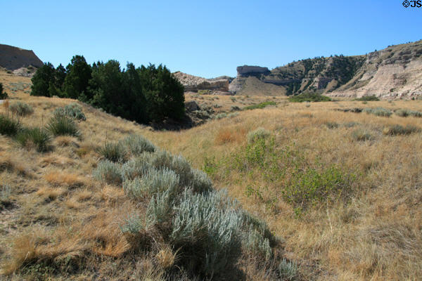 Desert plants at Scotts Bluff National Monument. WY.