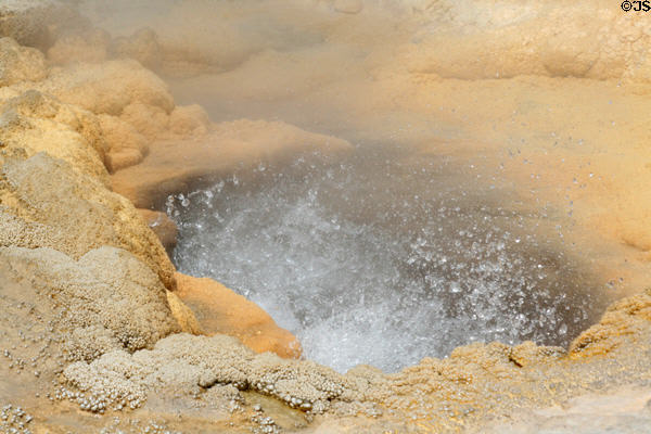 Sulfur deposits in Old Faithful area of Yellowstone National Park. WY.