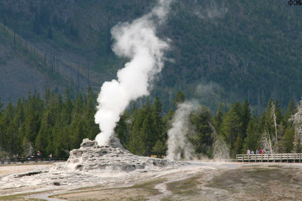 Castle geyser near Old Faithful at Yellowstone National Park. WY.