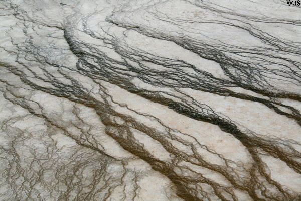 Terraced minerals of Excelsior Geyser at Yellowstone National Park. WY.
