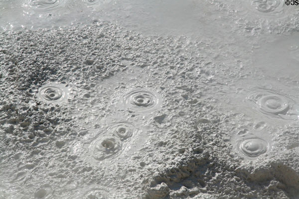 Bubbling mudpots of Artist's Paintpots area at Yellowstone National Park. WY.