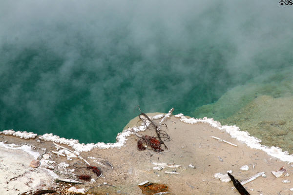 Mineral deposits on pool in Norris Geyser Basin at Yellowstone National Park. WY.