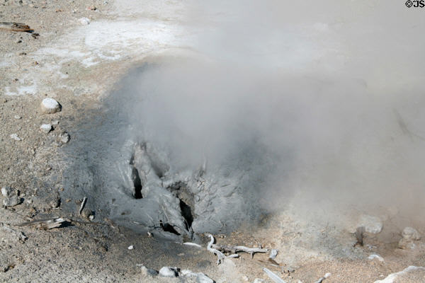 Mud vents steam at Yellowstone National Park. WY.