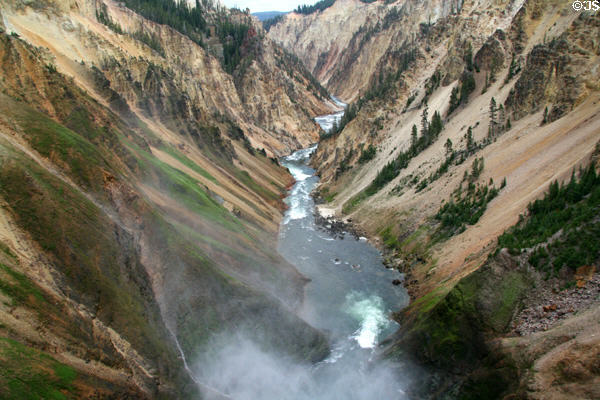 Mist from Lower Falls of Yellowstone River turns walls of Grand Canyon green with plants in Yellowstone National Park. WY.