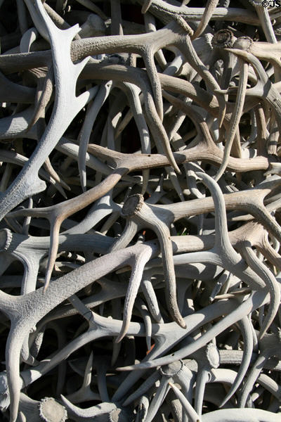 Elk antler arch detail in Town Square. Jackson, WY.