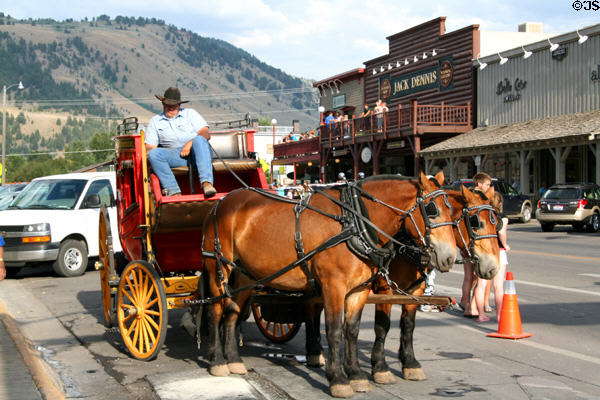 Tourist carriage ride. Jackson, WY.