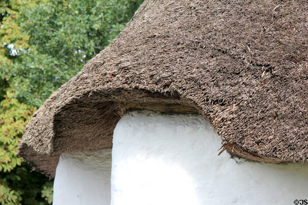 Detail of straw roof on Nantwallter Cottage at St Fagans National Museum of History. Cardiff, Wales.