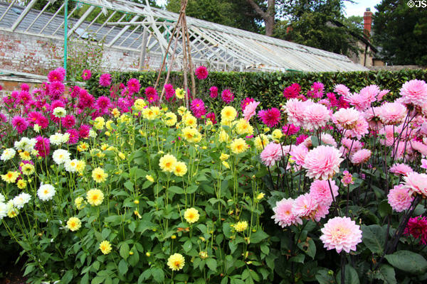 Flower garden & greenhouse in St Fagans Castle. Cardiff, Wales.