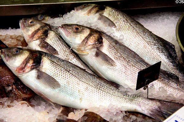 Fresh fish on sale at Cardiff Market in Cardiff City Centre. Cardiff, Wales.