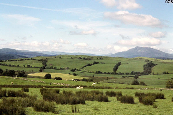 Hilly landscape in Pentrefoelus, a historic village in Conwy County, with grazing sheep & mountains in the background. Pentrefoelus, Wales.