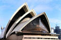 Arches & windows of Sydney Opera House. Sydney, Australia.