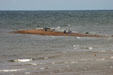 Wading in the shallows at North Cape. PE.