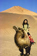 Tourist camel at Bezeklik Caves, Turpan. China.