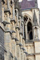 Gargoyles along side facade of Reims Cathedral. Reims, France.