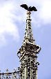 Eagle statue atop Liberty Bridge in Budapest. Hungary.
