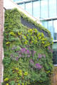 Living green mall on Sir John Rogerson's Quay. Dublin, Ireland.