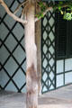Cross hatching design of walls at Swiss Cottage. Cahir, Ireland.
