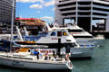Yachts at Ferry building. Auckland, New Zealand.
