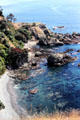 Rocky coastline of Tiritiri Matangi. New Zealand.