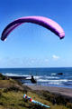 Parasailors land on Muriwai Beach. New Zealand.