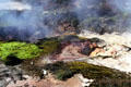 Craters of the Moon, Taupo. New Zealand.