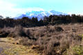 Mount Ruapehu volcano in the National Park. New Zealand.