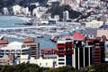 View of Wellington from the cable car station. Wellington, New Zealand.