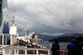 On board the ferry to South Island. New Zealand.