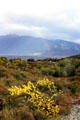Rainbow over Lake Te Anau. New Zealand.