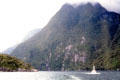 Milford Sound scenery. New Zealand.