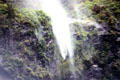 Waterfall blows upwards in the constant winds of Milford Sound. New Zealand.